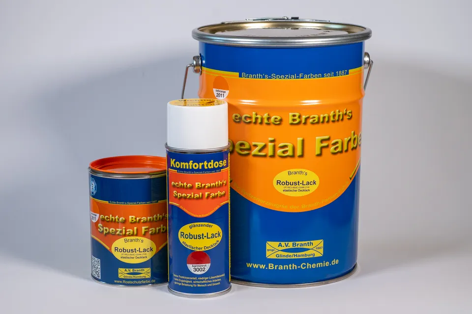 branth-chemie-branth-s-robustlack-decklack-gl-nzend image 1